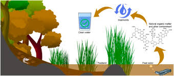 Characteristics and treatment methods for peat water as clean water  sources: A mini review
