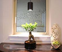 Grow Light Wikipedia