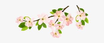 The object will be pasted on a transparent background. Png Spring Flowers Transparent Background Spring Flowers Png Png Image Transparent Png Free Download On Seekpng