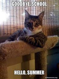 Goodbye School Hello Summer The Most Interesting Cat In The World Make A Meme