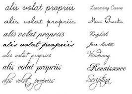 Tattoo Arm Wing Alis Volat Propriis 48 Ideas Alis Volat Propriis Tattoo Text Tattoo Feather Bird Tattoo Shoulder