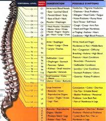 subluxation chart monterey bay holistic alliance