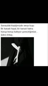 sonsuzluk kirpigimizde serce kusu bir kanadi hayal bir kanadi hatira konup konup kalkiyor caresizligimizd sukru erbas guzel soz edebiyat siir