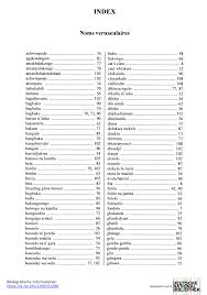 Image result for Rotheca luembensis