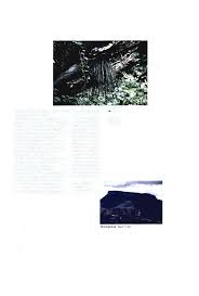 Image result for Mohria lepigera