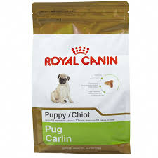 Check Out Our Website For Additional Information On Pug Dogs It Is A Great Spot To Get More Information Pug Puppy Pugs Pug Dog
