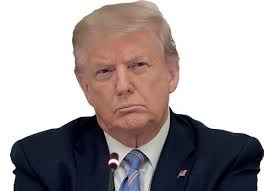 Farmers Guardian 15th November 2024 by Farmers Guardian LTD