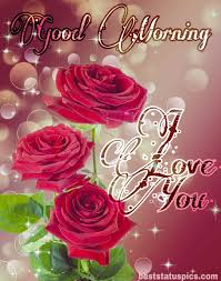 We did not find results for: 101 Cute Good Morning Hd Images For Girlfriend Her Best Status Pics