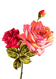 Pin By Anis Pinjari On Digital Flower Flower Painting Flower Art Digital Flowers