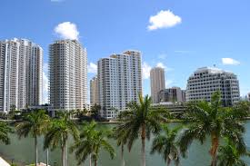 Of my heart that lies tribulation (one love one love one love colors don't bind, oh no the heart keeps searching ^^) what do they know? My Home Is Here Now Growing Number Of Puerto Rican Professionals Settle In Miami
