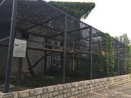 Welded Mesh With Metal Frame As Birds House And Green Plants Are On The Mesh Large Bird Cages Zoo Architecture Aviary