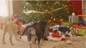 Hulu's holiday scenic puppies crash christmas features multiple young pups tearing apart a beautiful home decorated for christmas — from dismantling the tree and gingerbread house to. Puppies Crash Christmas Is The Best Hulu Special Ever Made Hellogiggles