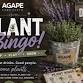 Plant Bingo at DirtBag Ales