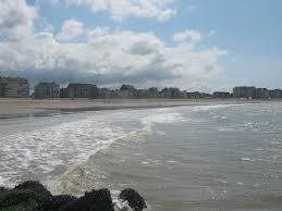 Der strand ist für viele hunde der ideale ort um sich gut auszutoben. Pin Op Places I Ve Been To In Belgium Netherlands Spain