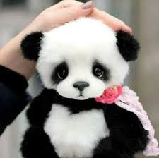 Pin By Sdgg Dttg On ا Cute Animals Panda Bear Cute Panda