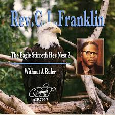 The Eagle Stirreth Her Nest 2