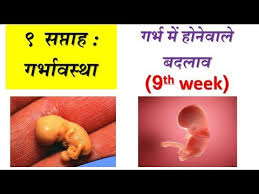 9 Weeks Of Pregnancy And Baby Development In Hindi