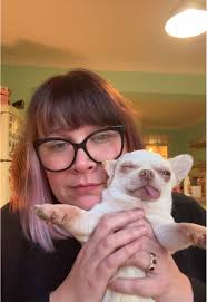 What Happened to Stevens Chihuahua Dog