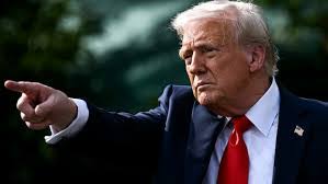 Peter Bodnarchuk's Instagram, Twitter & Facebook