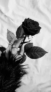 Chroniken Des Blutes Und Absinth Black Aesthetic Wallpaper Black Phone Wallpaper Black And White Picture Wall