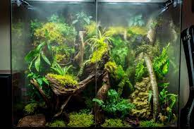 The 10 Best Reptile Misting Systems Reviews Buying Guide For 2021