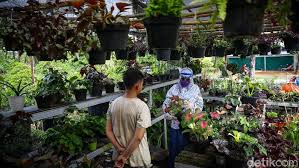 Tempat tersebut memiliki sedikitnya 60 jenis tanaman dengan jumlah pohon lebih dari 10.000 batang.hutan kota dibuka pada tahun 2006 dengan luas 9 hektar, termasuk danau buatan seluas 2 hektar. Geliat Penjual Tanaman Hias Panen Rezeki Di Tengah Pandemi