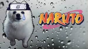 You can easily copy the code or add it to your favorite list. Musica Triste Do Naruto Em Cachorres Youtube