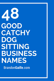 350 Good Catchy Dog Sitting Business Names Dog Sitting Business Dog Walking Business Dog Daycare Business