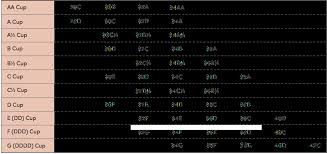 bra conversion chart awesome bra size chart thirdlove