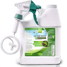 However, simply plugging in one of these devices probably won't end your. Pet Safe Carpet Beetle Sprays Diy And Commercially Available The Home Pest Control