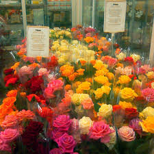 Shop by departments, or search for specific item(s). Ripe Vs Raw Floweracademy