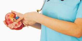 Kama Una Imani Haba Unaweza Kukubaliana Na Wenye Imani Potofu Au Za Kishirikina Kuwa Umefanyiwa Hayo Mambo Pale Dak Kidney Cyst Cysts Polycystic Kidney Disease