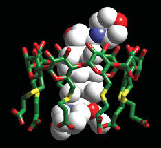 Image result for Rocuronium