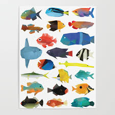 Tropical Fish Chart Poster By Polymolystudio