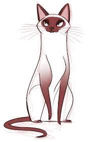 Follow along to learn how to draw this cartoon cat easy, step by step. Anime Siamese Cat Drawing Novocom Top
