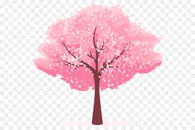 Our favorites are the cherry blossoms. Cherry Blossom Tree Drawing Png Download 620 600 Free Transparent Cherry Blossom Png Download Cleanpng Kisspng