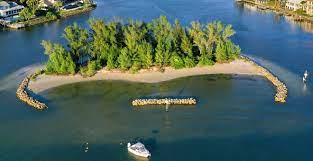 Ilha da queimada (snake island) is one of the most dangerous islands on earth because of the thousands of venomous snakes located between lido and venice in northern italy, it is one of the. Snake Island Near Venice To Close For 75 Days As Part Of Dredging Project