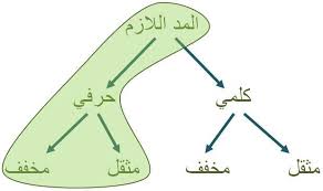 Basic Tajweed Rules Tajweed Me