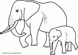 Buat sketsa acak pendek pada tubuh gajah, terutama ke area yang biasanya di dalam bayangan. 750 Koleksi Gambar Sketsa Hewan Gajah Hd Gambar Hewan