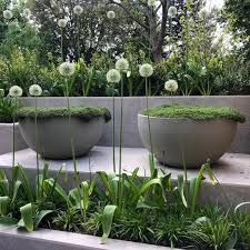 James Lee On Instagram Gardendesign Landscapedesign Urbisdesign Londongardens Landscapephotography Garden Design Landscape Design Landscape Photography
