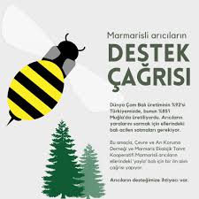 Check spelling or type a new query. Kadir Beycioglu Kadirbeycioglu Twitter