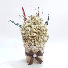 Pin Di Bunga Edelweis