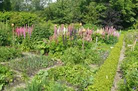 Es ist das hauptwochenende der aktion „offener garten,. Offener Garten Schleswig Holstein 21 22 Juni 2014