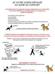Zone De Confort Chien Education Chien Education Canine