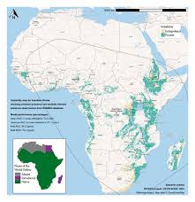 Image result for Sesbania keniensis