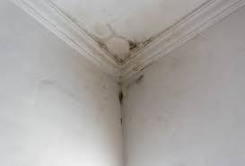 A leaky sink drain will reveal itself on the floor below or inside the vanity cabinet. Leaky Roof Here S What To Do Startrescue Co Uk