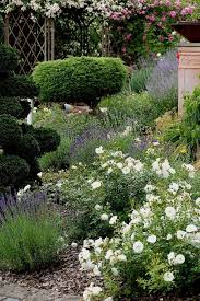 Gartenreportage Garten Der Superlative Mit Weiher Und Rosen Weisse Rose Garten Lavendel Garten