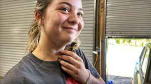 New video today at 1pm EST