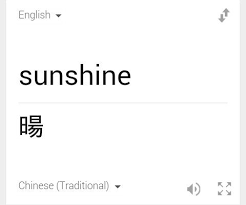 Tatto Inspiration Small Tattoos Chinese Words I Translated Some Cute Words With Meaning For My Future T Sunshine Tattoo Small Sunshine Tattoo Chinese Words