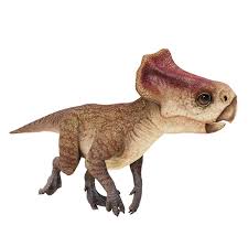 Image result for Micractis